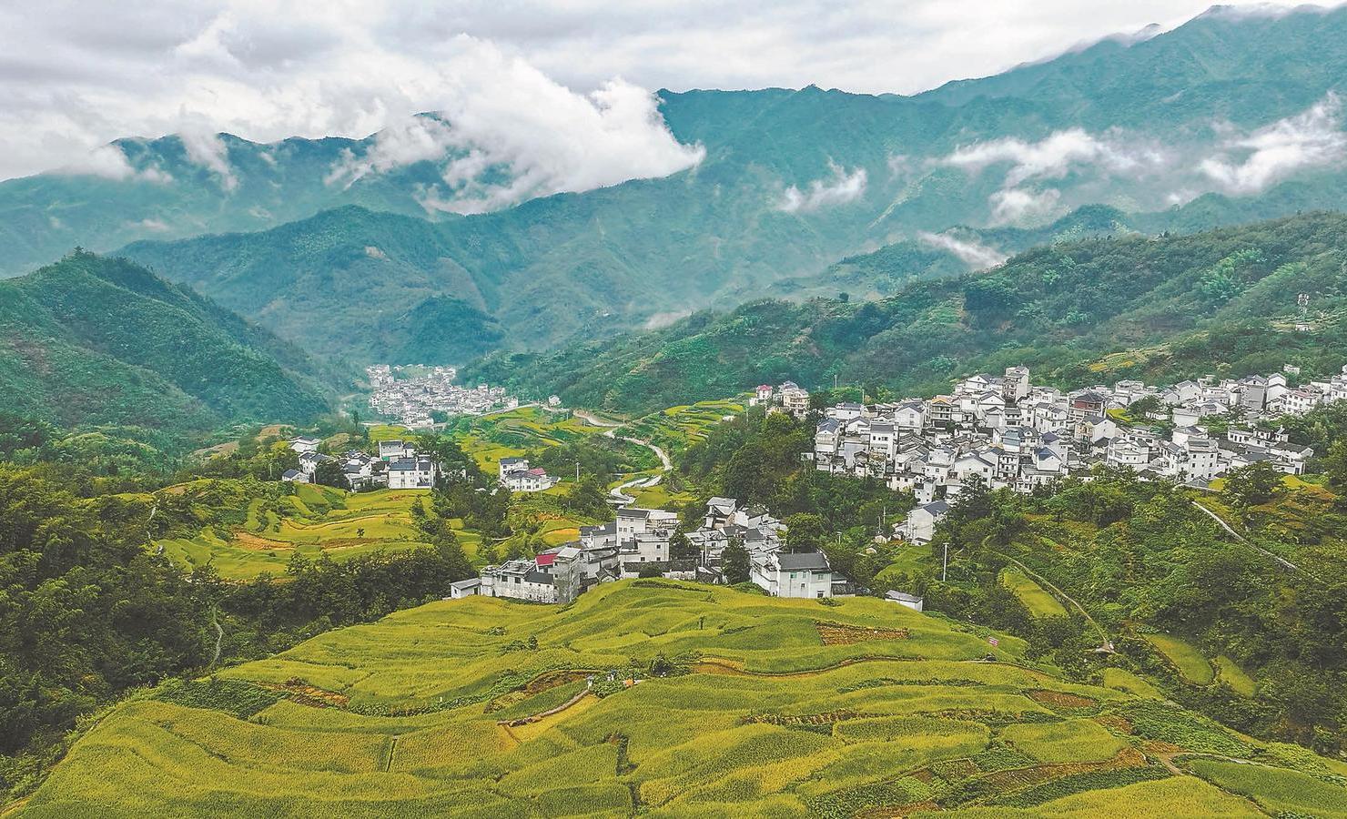 安徽发展探析,观点解析与展望