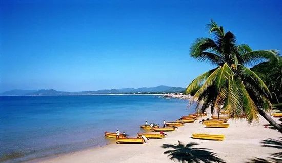 海南海岸,沉思古扇下的海岛情怀