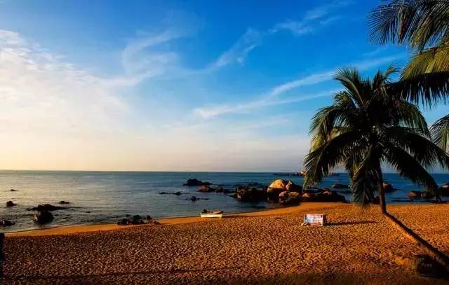 海南海岸,沉思古扇下的海岛情怀