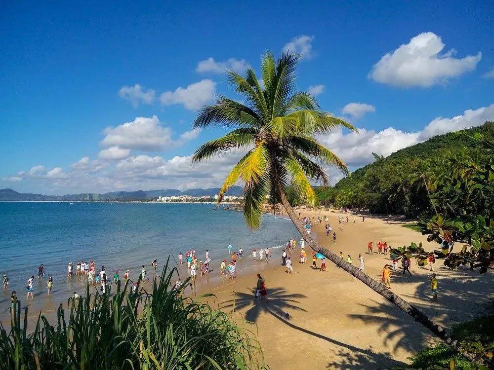 海南海岸,沉思古扇下的海岛情怀