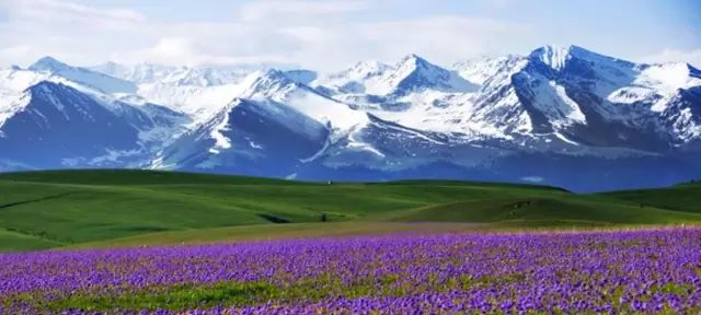 草原黄昏·维族独白