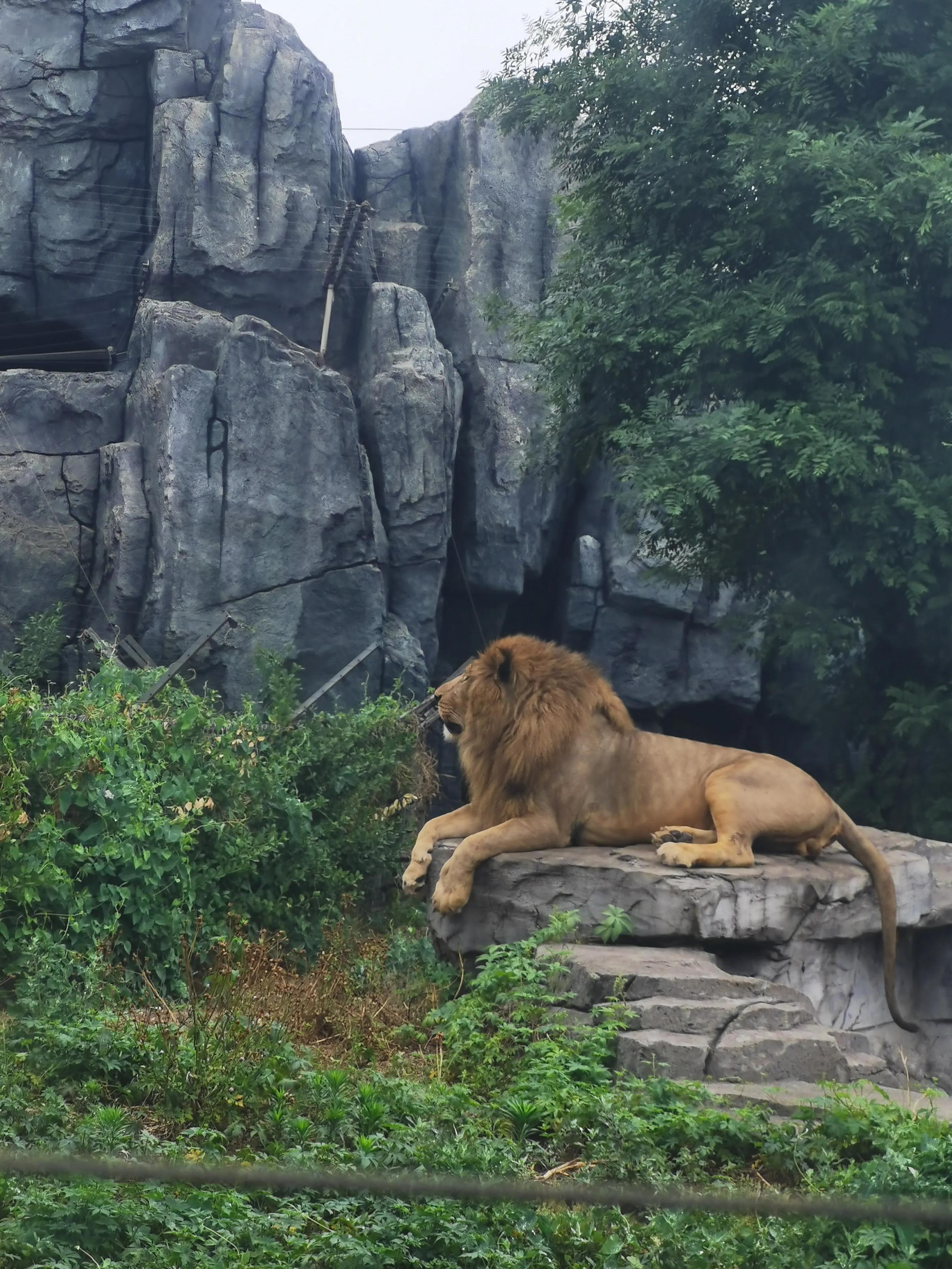探秘唐山小巷,别具一格的特色小店等你发现